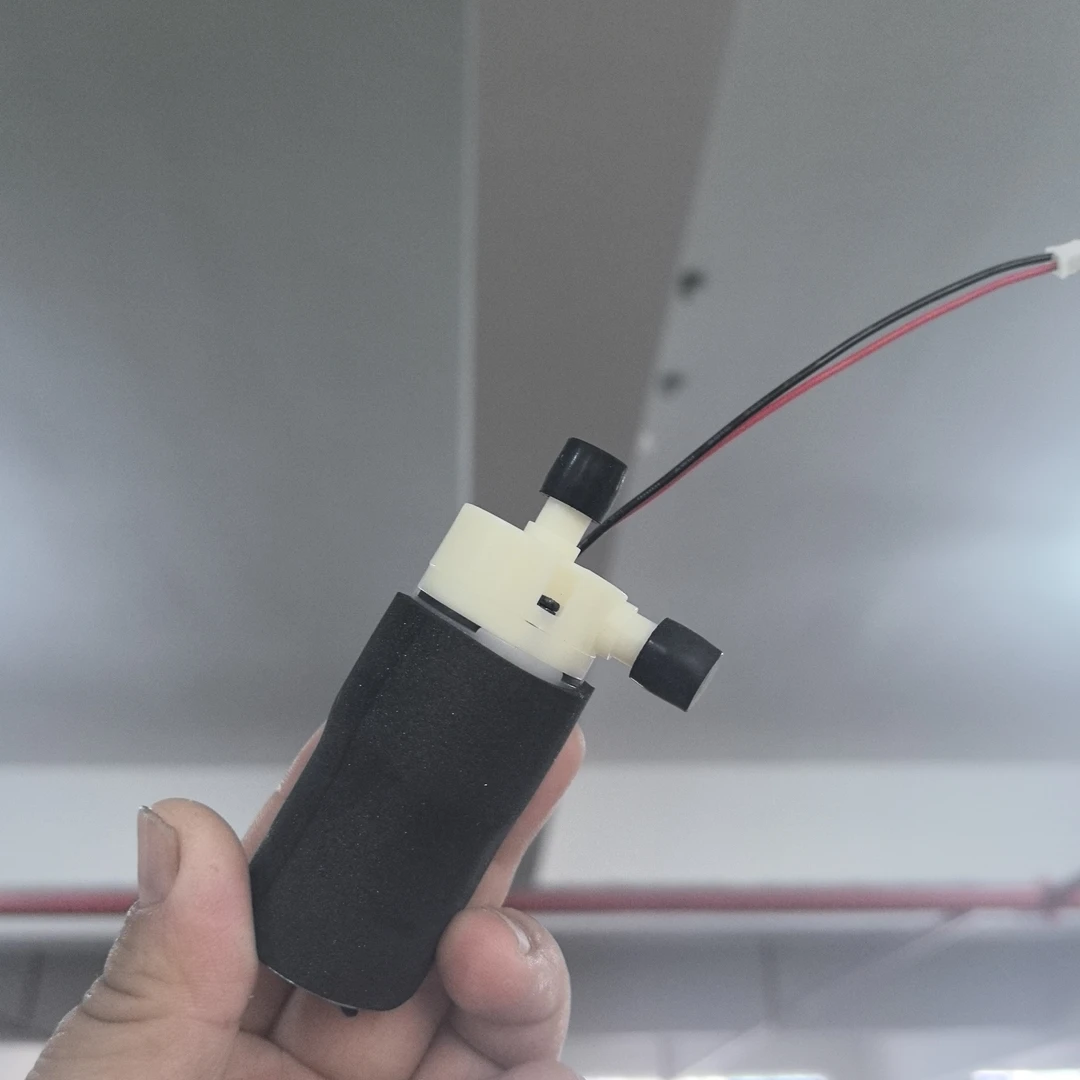 带线小水泵发2个
