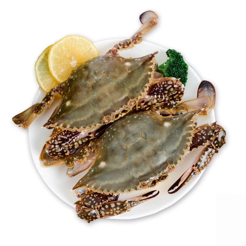 【冻蟹】鲜活捕捞梭子蟹 深海大螃蟹急冻顺丰发货 4-6两/只 3斤/5斤