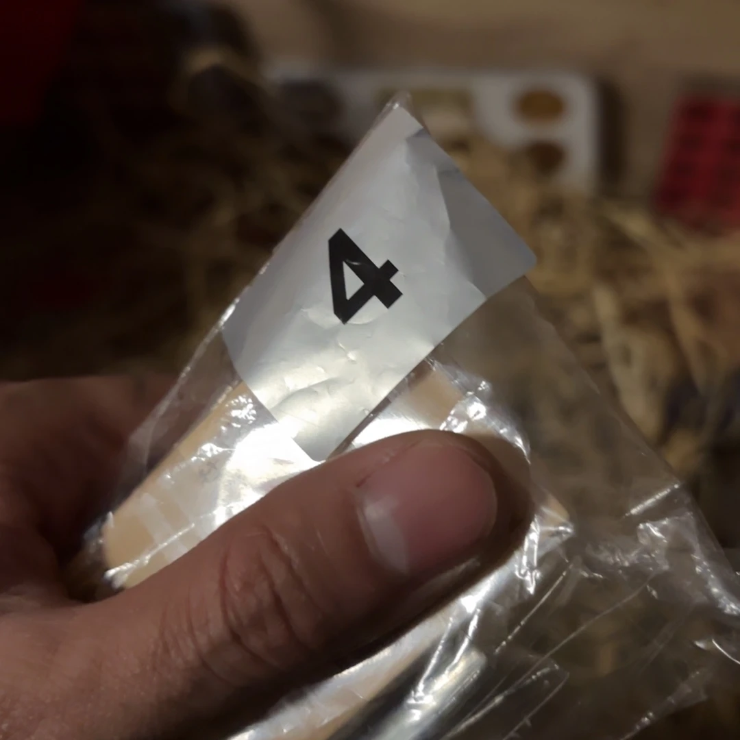 玉53464365456545565！5、5