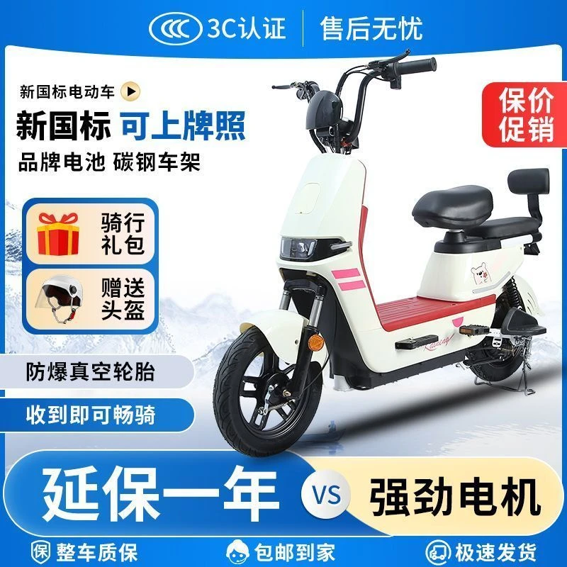 2025年电动自行车成人代步超长续航新国标可上牌