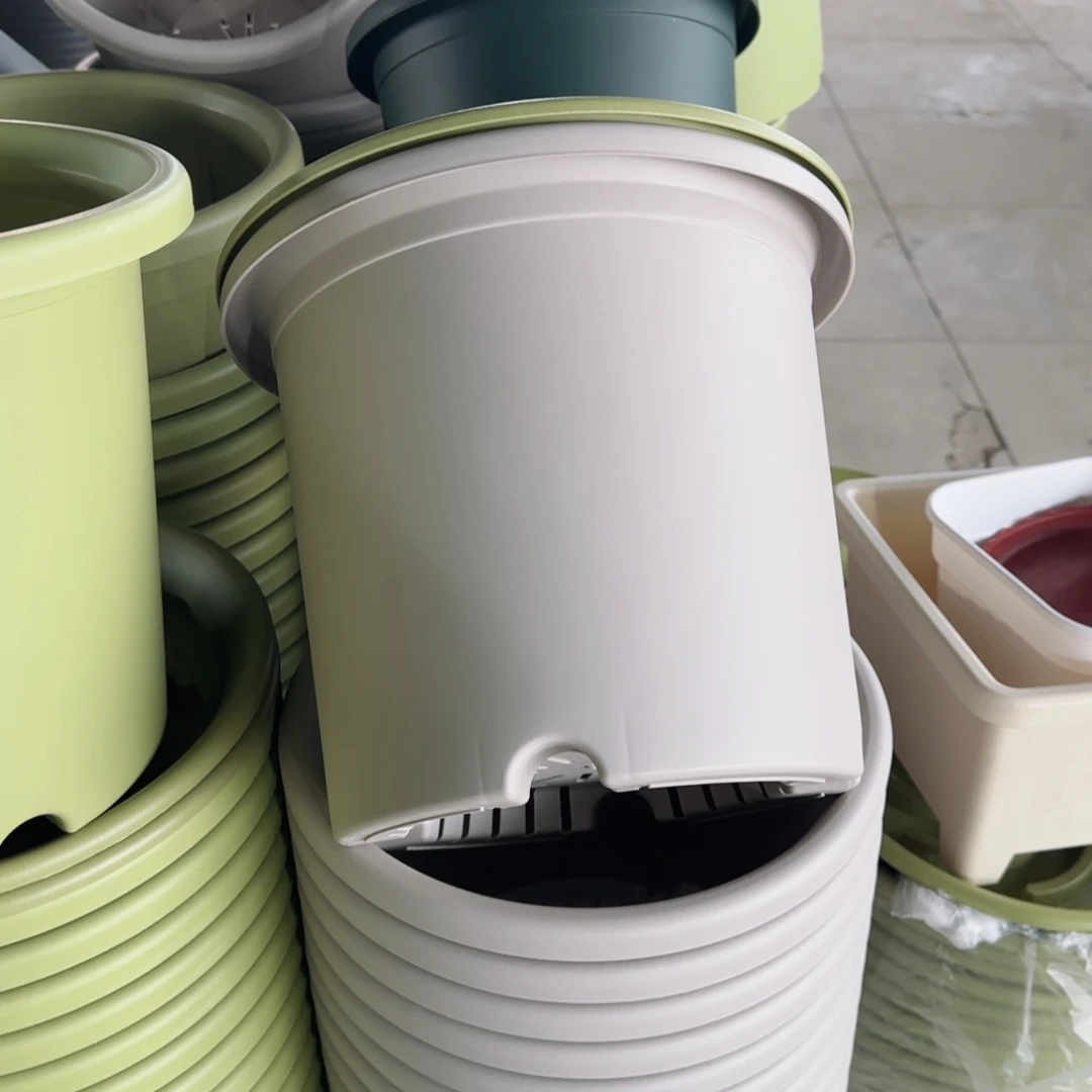 塑料四季6号灰白100个无托