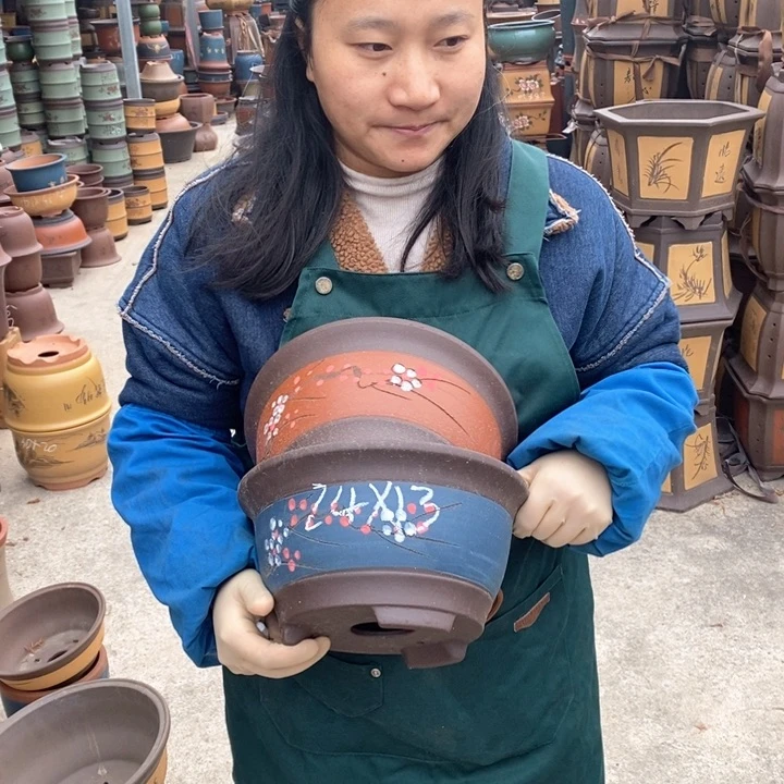 紫砂花盆盆栽花卉苗木种植