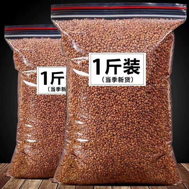 1斤装】正宗黑苦荞茶大凉山芥麦茶黑珍珠全胚芽麦香精选正品