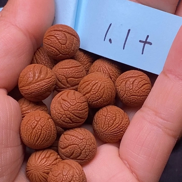 秦岭龙纹桃核21颗