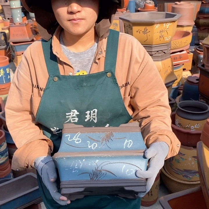 紫砂花盆紫砂花盆盆栽花卉种植