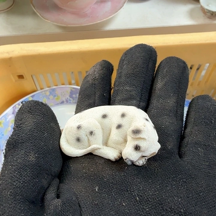 壶开播啦….开播啦