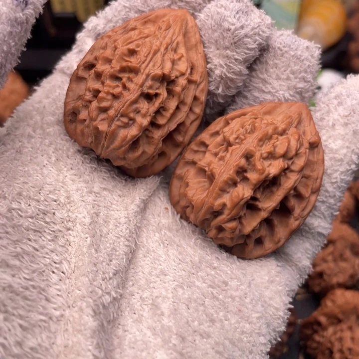 胡***扯核桃35尺秦岭野生石皮鸡