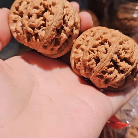 吊坠文玩核桃49.5粗筋