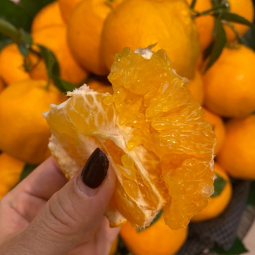 春见粑粑柑家庭版小框装