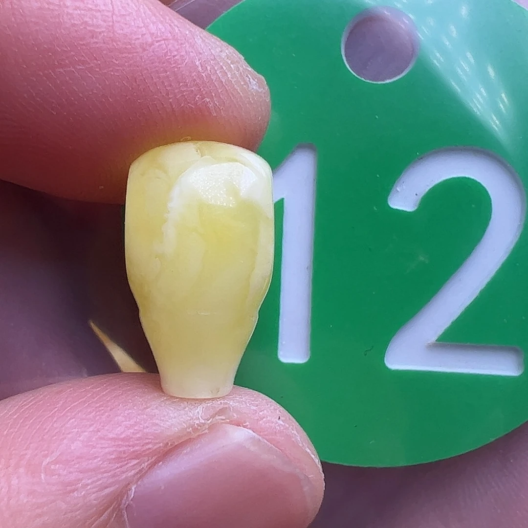 蜜蜡未镶嵌珠宝奇石8.3mm花粉