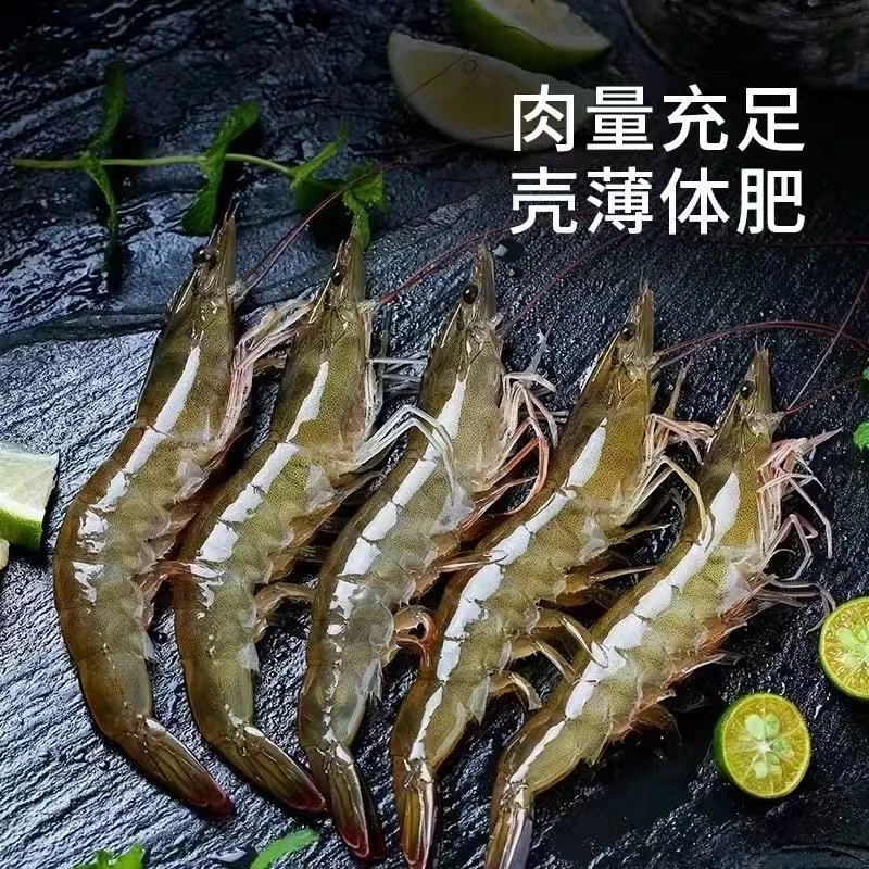 本地盐汪虾 鲜活速冻净重5斤（一斤30-40条左右）包邮！