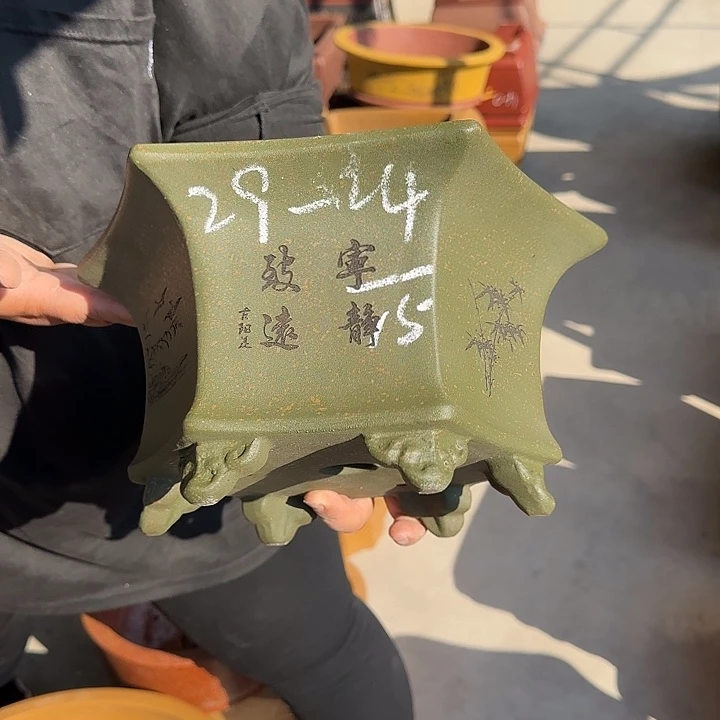 花盆紫砂是因为她