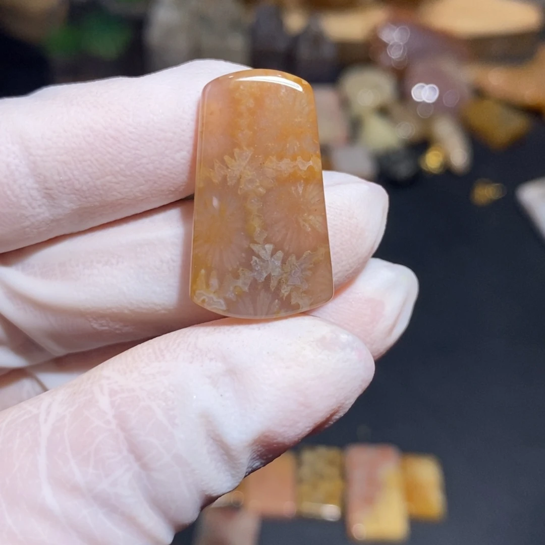 【闪购商品】硅化玉珊瑚玉未镶嵌