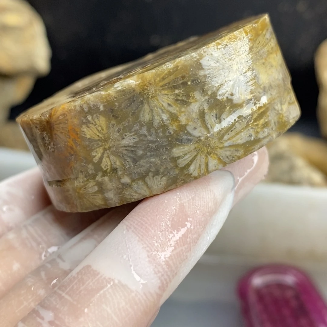 【闪购商品】硅化玉颈饰未镶嵌