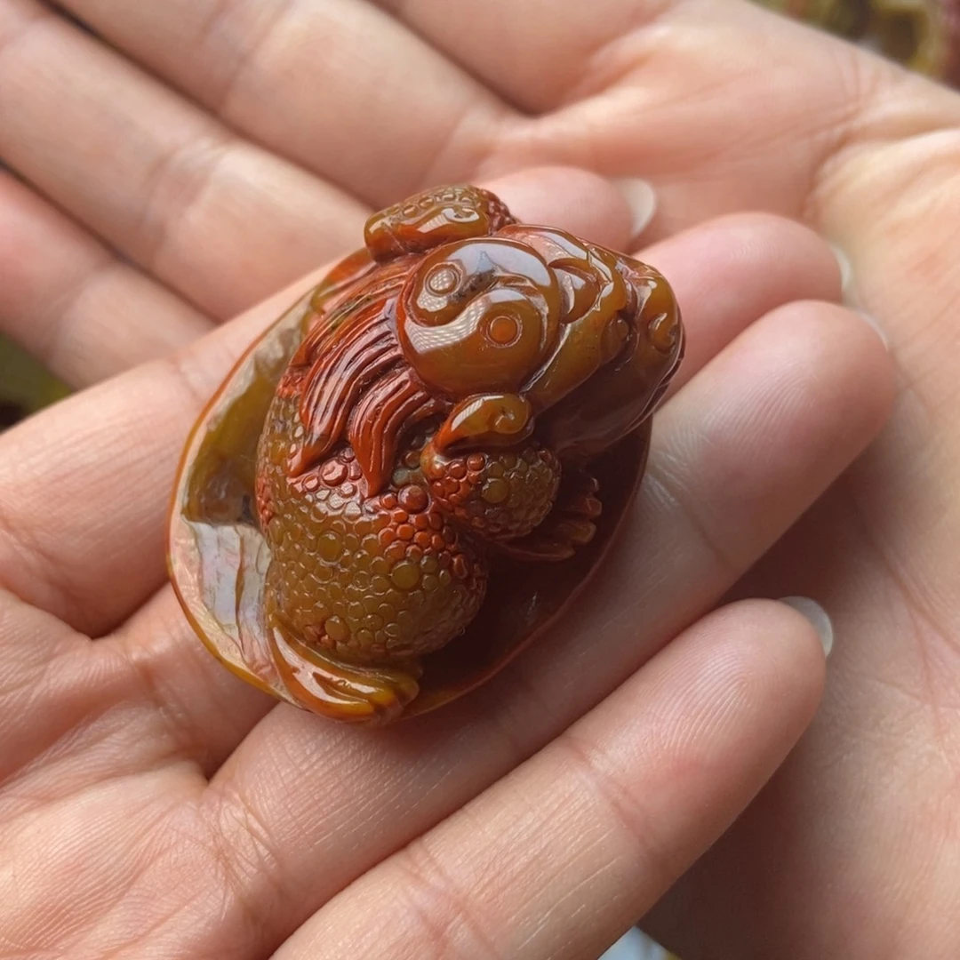 玛瑙/玉髓颈饰未镶嵌战国红