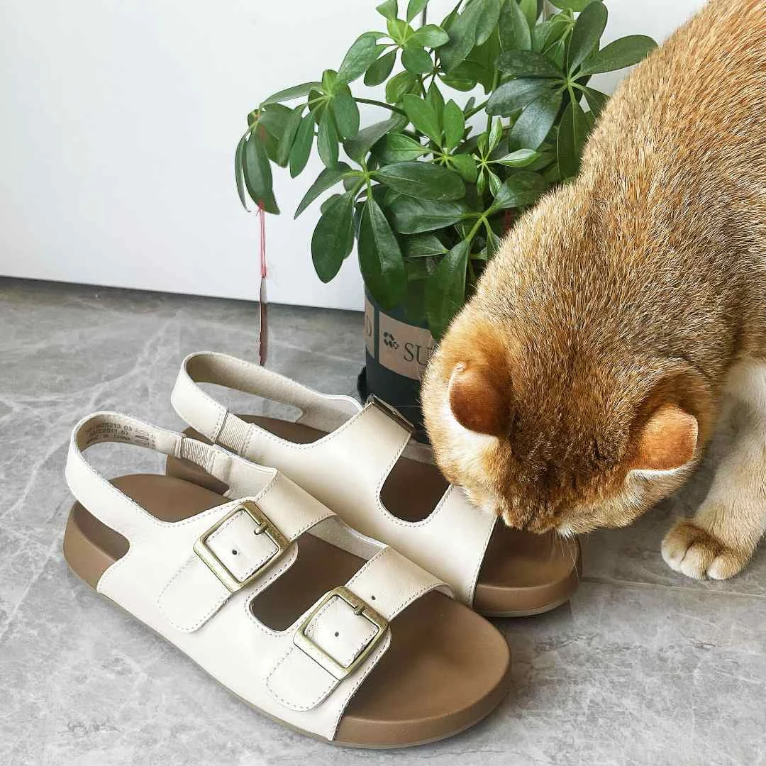 【热风商场同款】欧若风厚底防滑时尚鞋子女ins潮牌百搭H51W25213