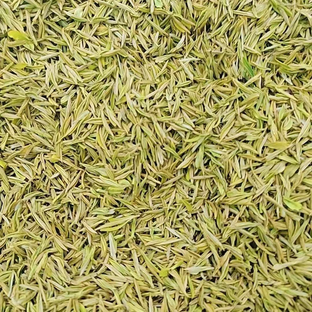 2025年新茶【安吉原产地】头采黄金芽 高山小芽3AS 豆香茶农批发