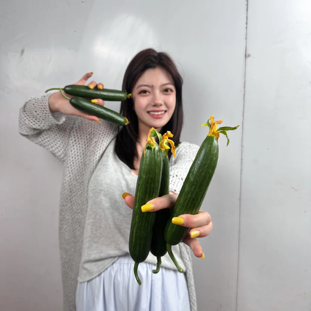 【水果也狗】水果黄瓜2斤左右【盒】