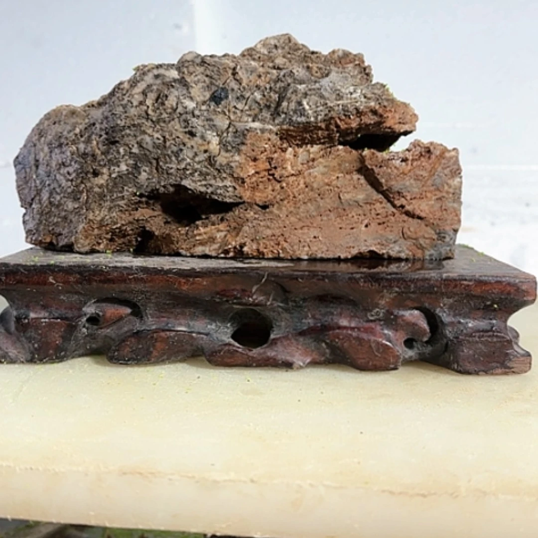 【闪购商品】香榧木王*军我们的生活方式是