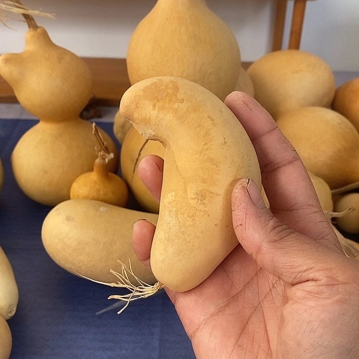 皮****葫芦手把件摆件葫芦