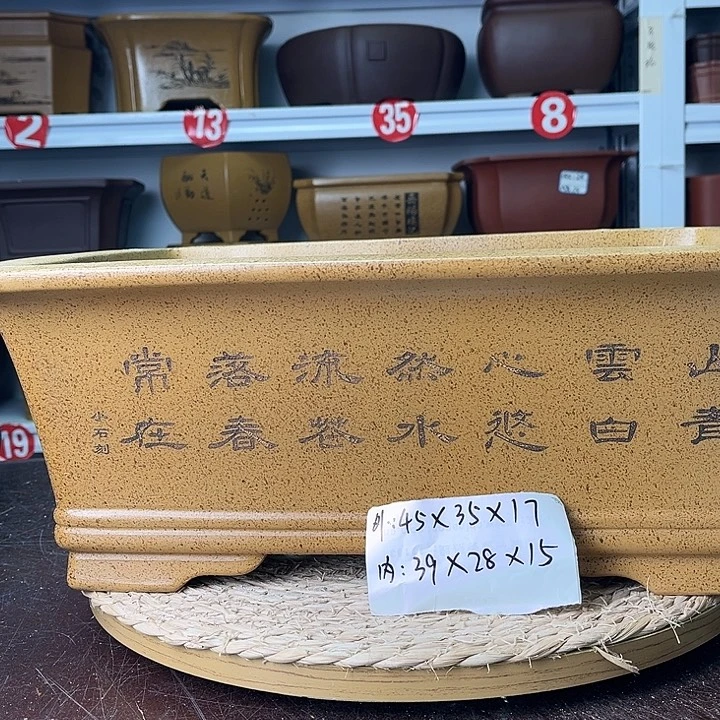 花盆紫砂你在一起