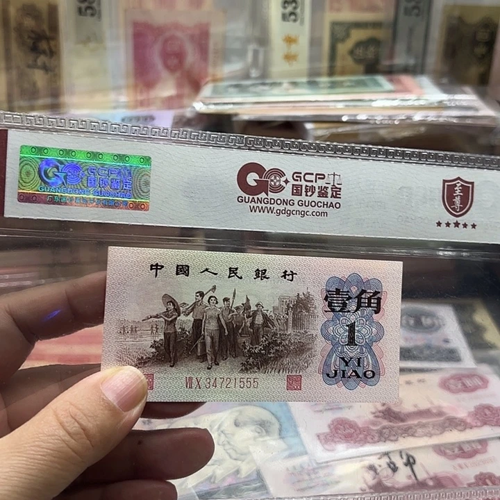 红二凸尾豹子号555