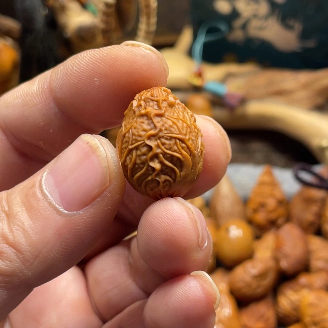 橄榄核手串/手链白菜508