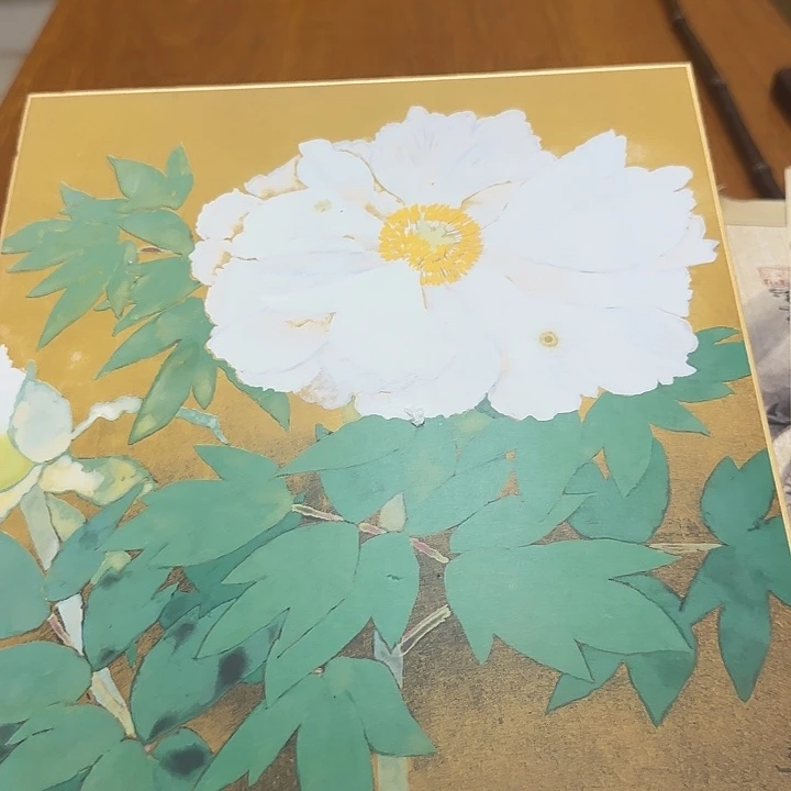 川***我也不知道我为什么