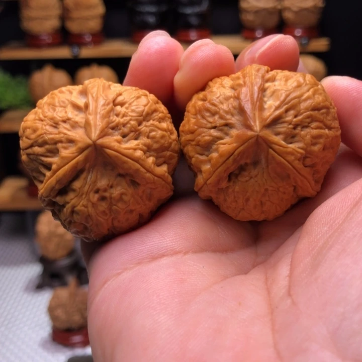 【闪购商品】金鼎三棱10