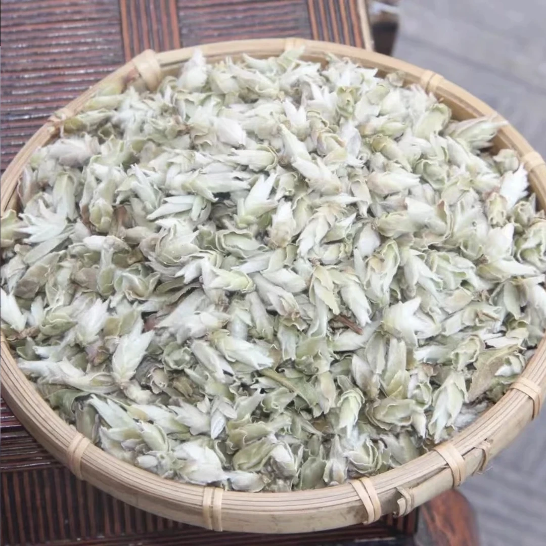 25早春雪山野茶《雪芽苞》