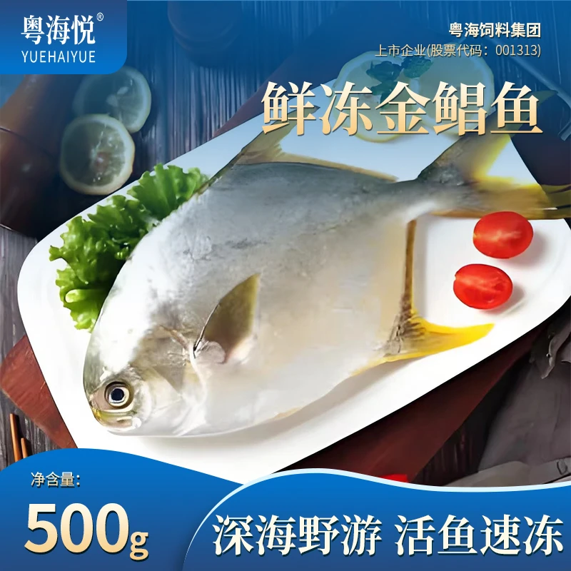 粤海悦湛江特产整条鲜冻金鲳鱼400-500g海鱼海鲜新鲜水产无添加