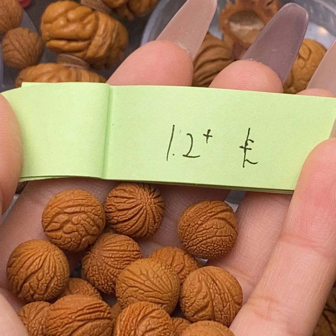 秦岭山脉龙纹桃核20