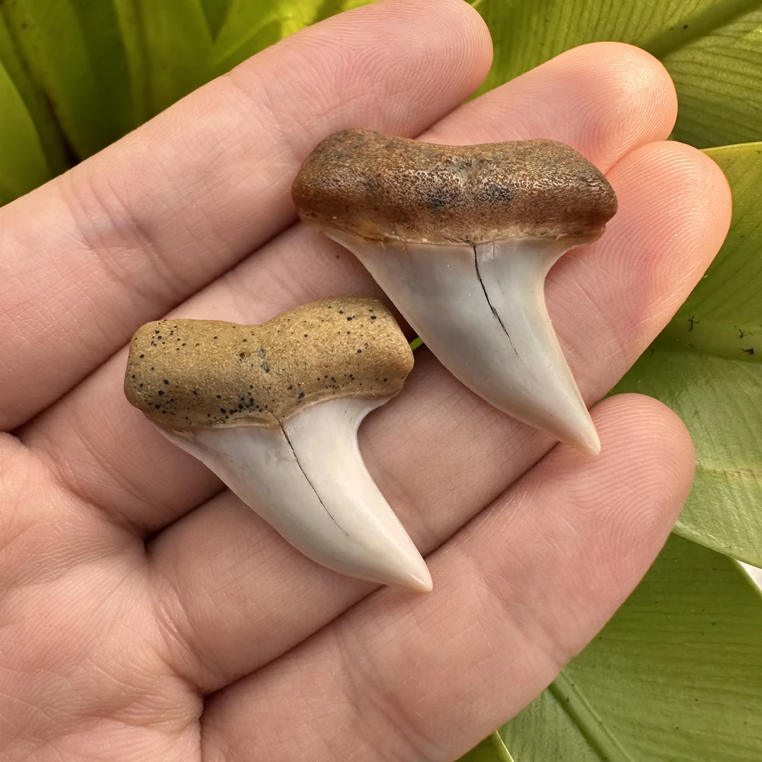精美摆件创意礼物家居配饰新年礼物个人收藏
