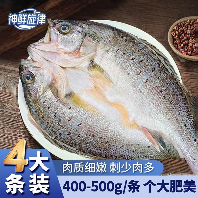 【神鲜旋律】4条装开背鲈鱼400-500g/条刺少肉多 肉质鲜嫩 处理方便