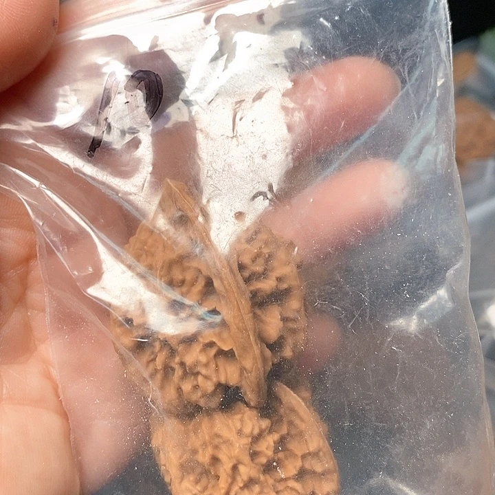 吊坠文玩核桃天***毛111111111111111