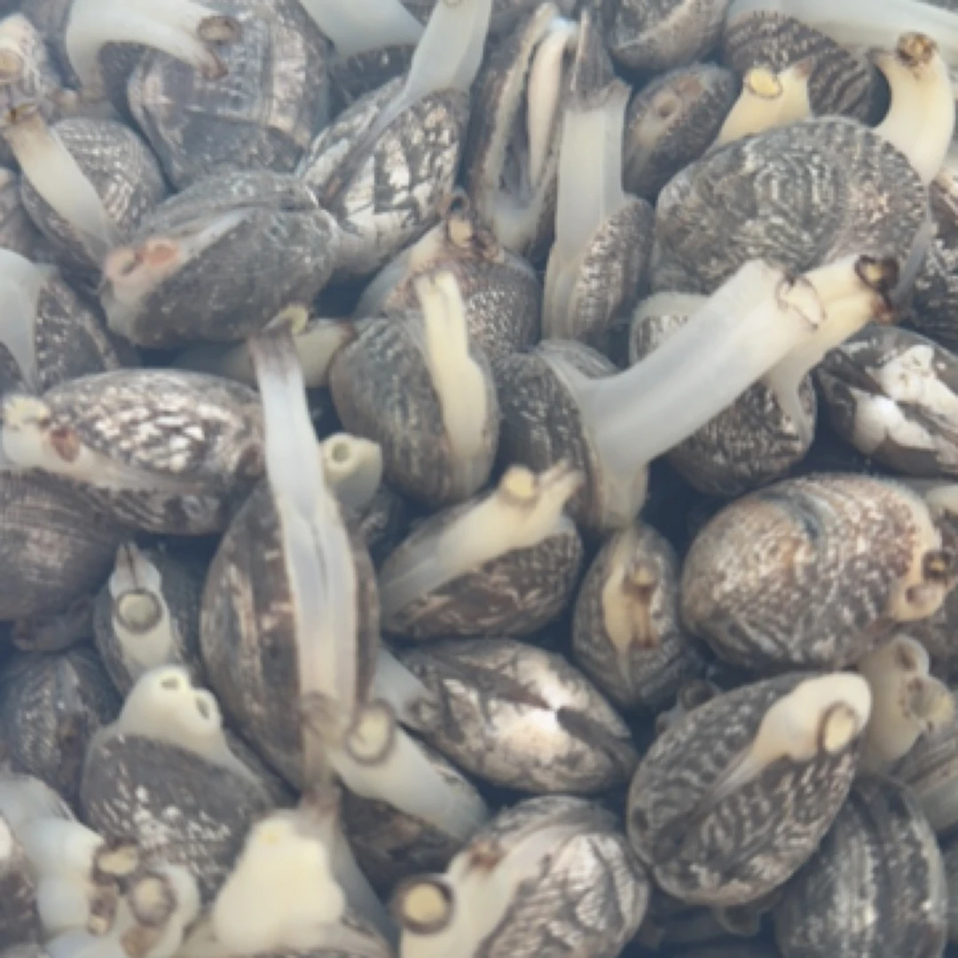 花甲花甲同城送