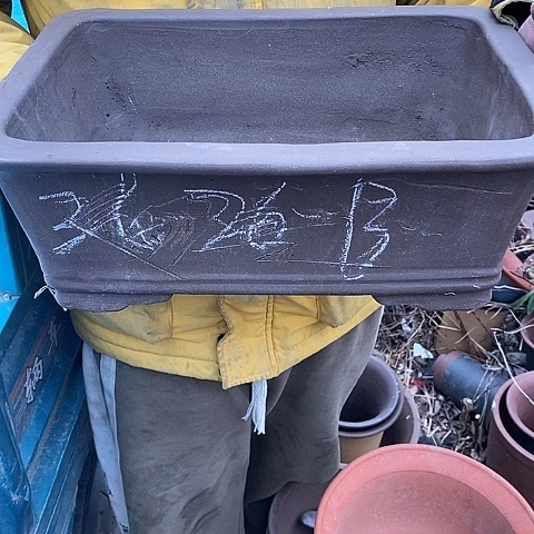 紫砂中国宜兴紫砂花盆，