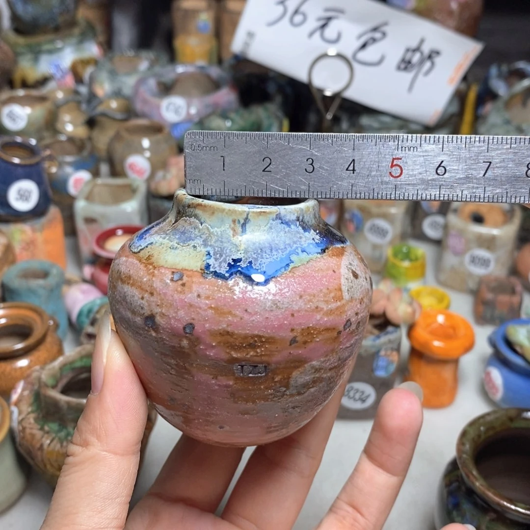 拍5送一个小礼物