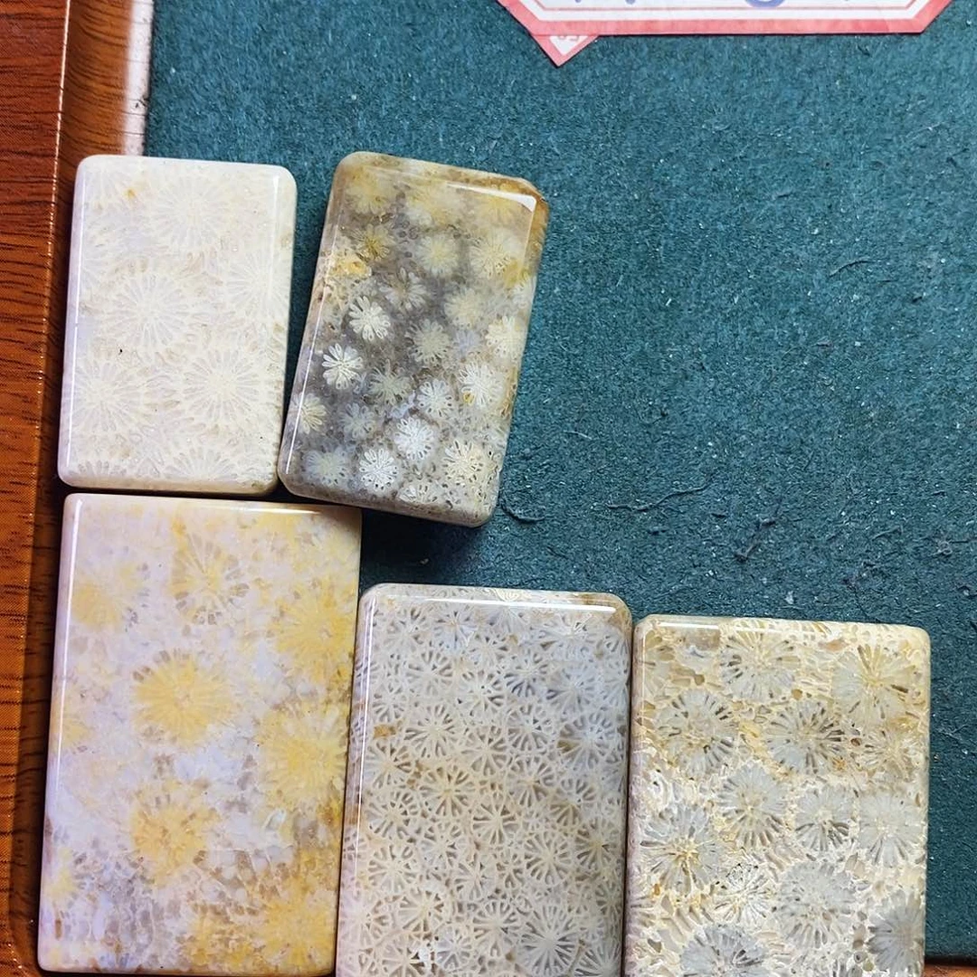 硅化珊瑚（珊瑚玉）吊坠未镶嵌蘑****吃