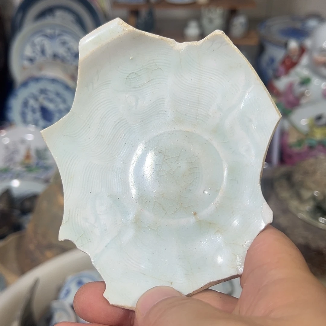 瓷片瓷片标本，全场包邮
