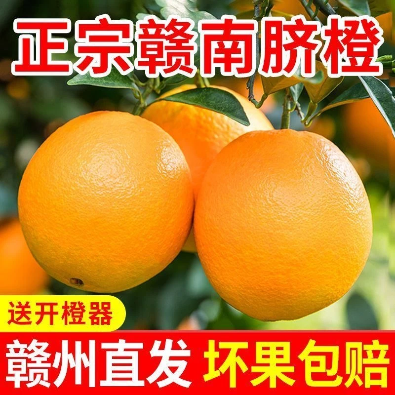 江西赣南脐橙新鲜水果整箱10斤/5斤赣南脐橙皮薄多汁香甜果园直发