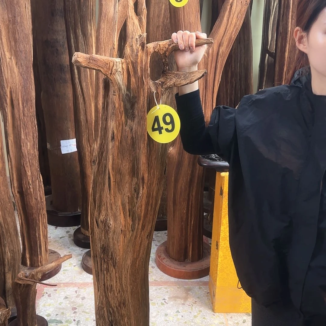 沉香沉香碎屑春*天然沉香原材料香料熏料