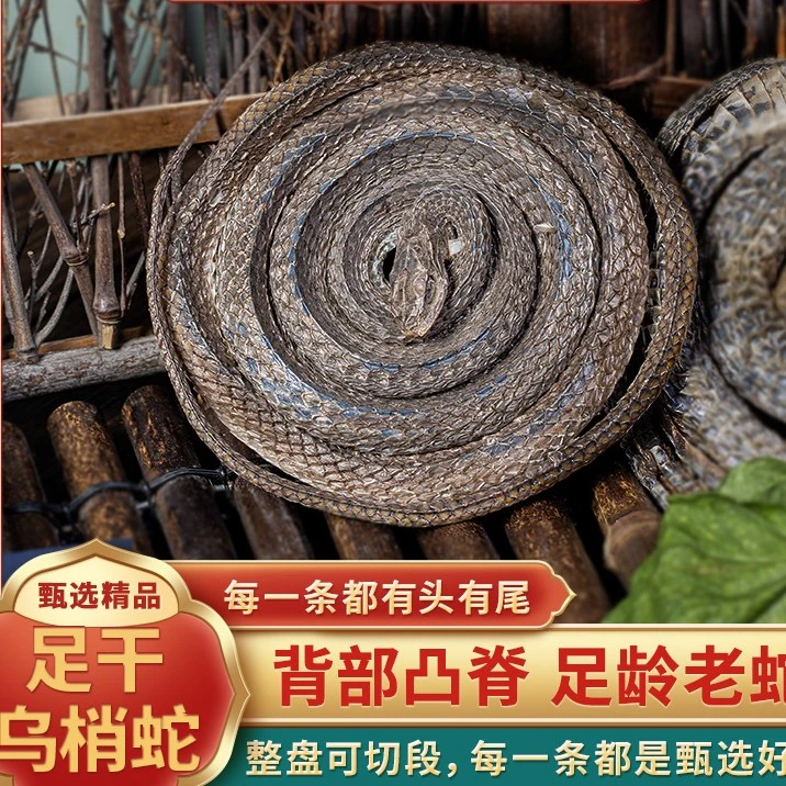 四川道地中药材乌梢蛇整条泡酒煲汤人参枸杞乌蛇乌梢蛇干