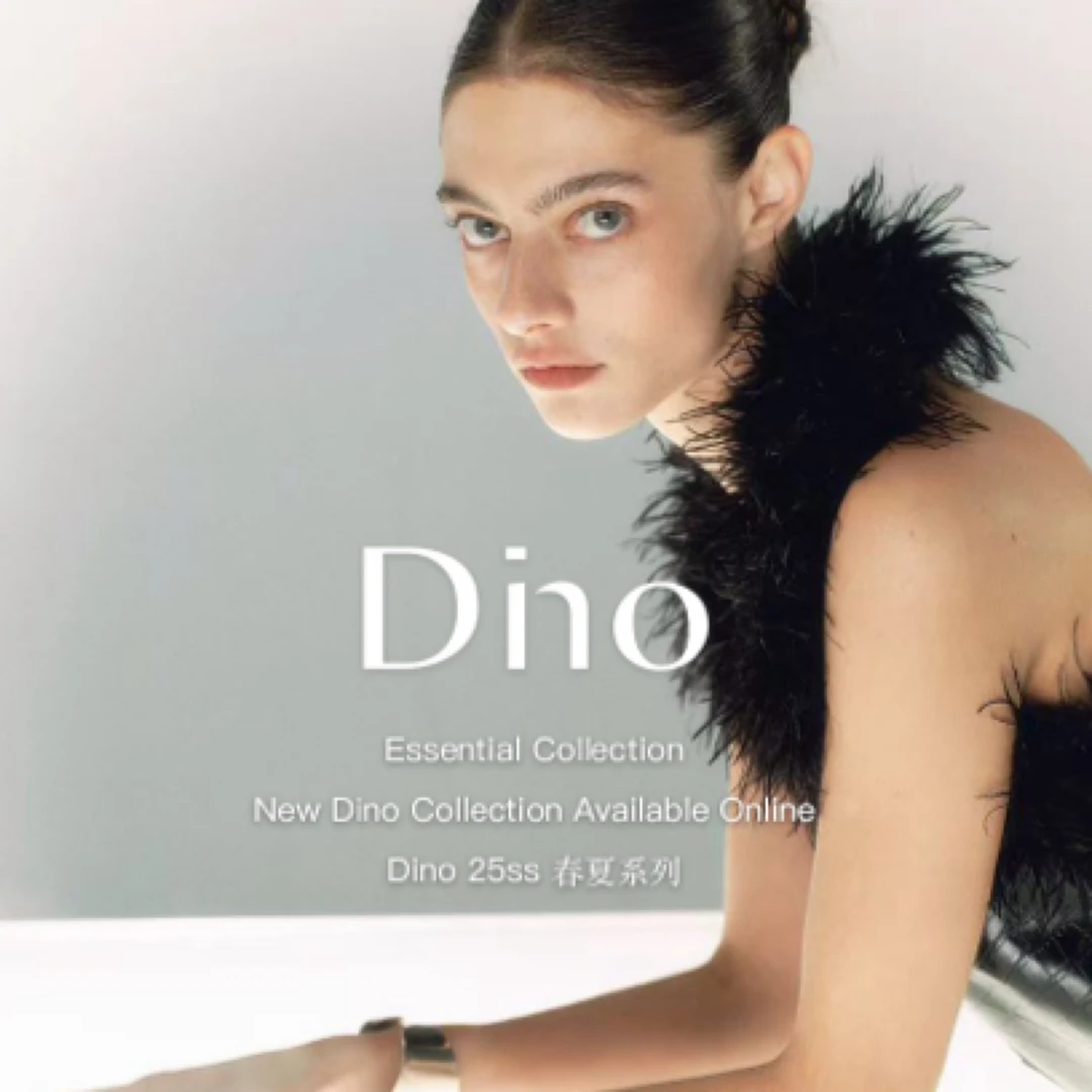 Dino 私人定制套装