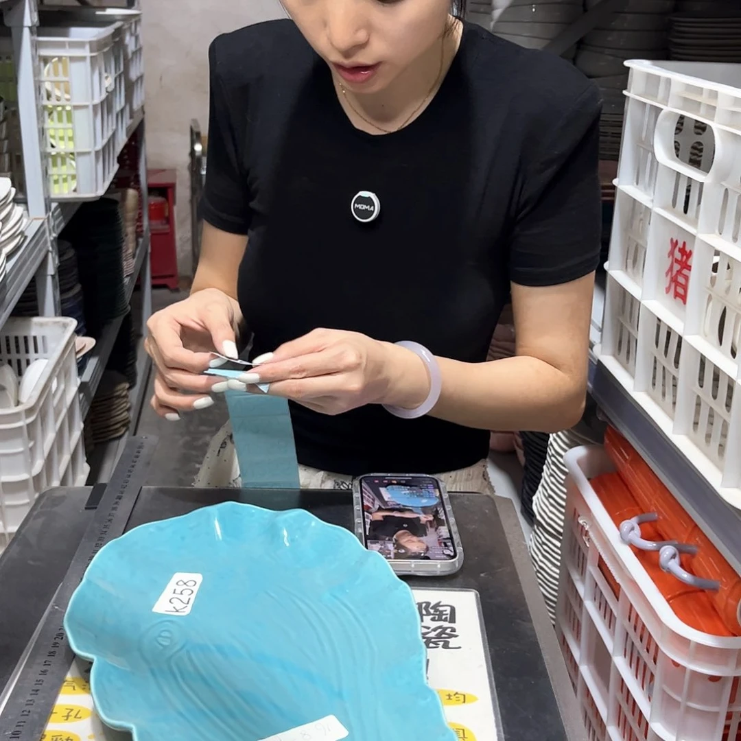 瓷片252                  1个