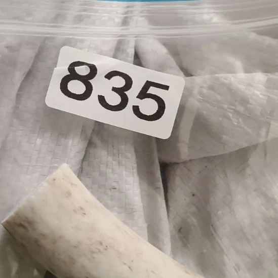 深***忆鹿角鹿角鹿角鹿角鹿角鹿角鹿角鹿角鹿角