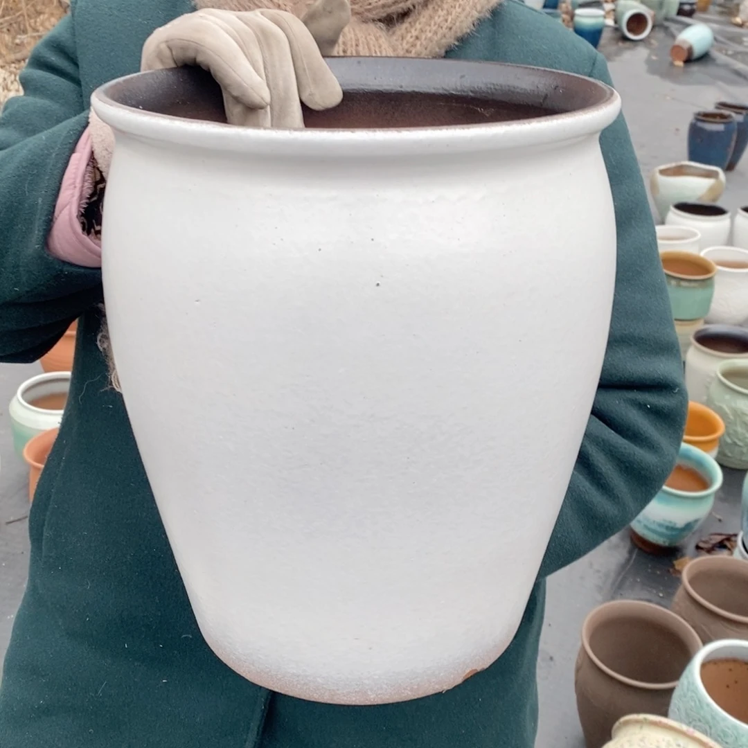 红陶口25高31～～～