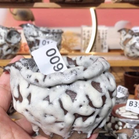 禹*木有一点点的小姐姐