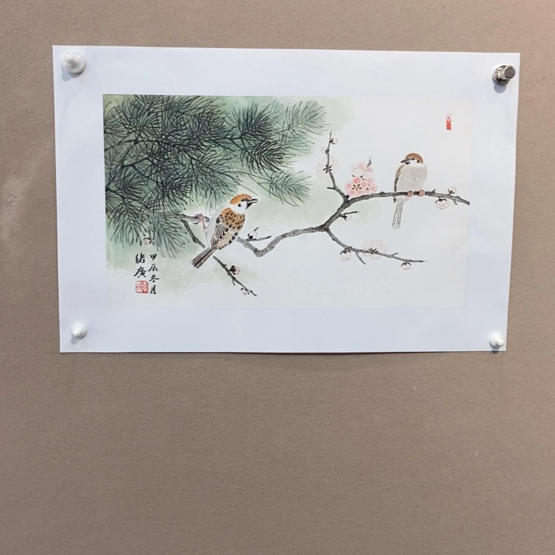 【闪购商品】国画V*素墨鱼精品墨鱼精品