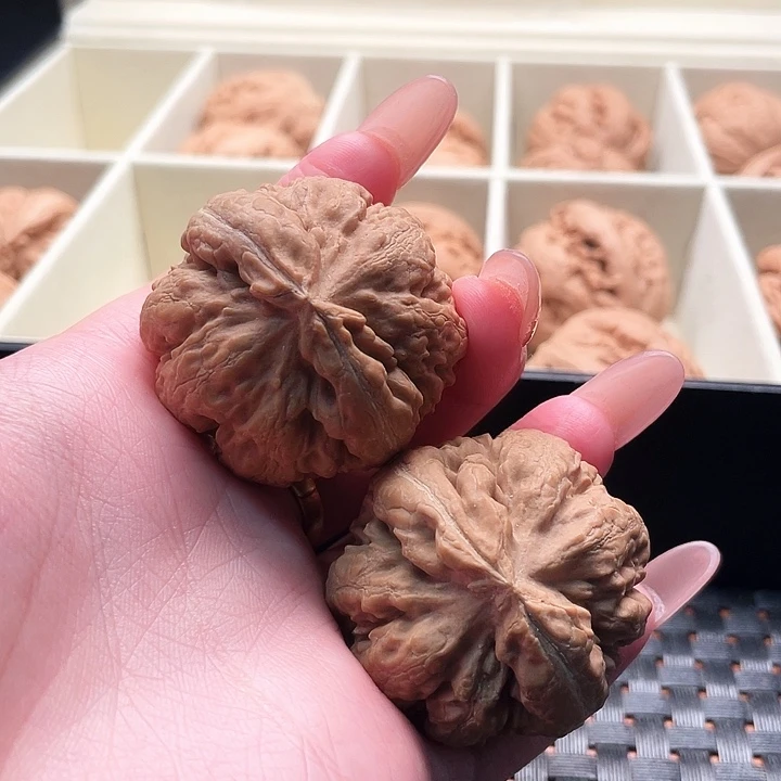 大***宇霸王龙核桃尺寸40